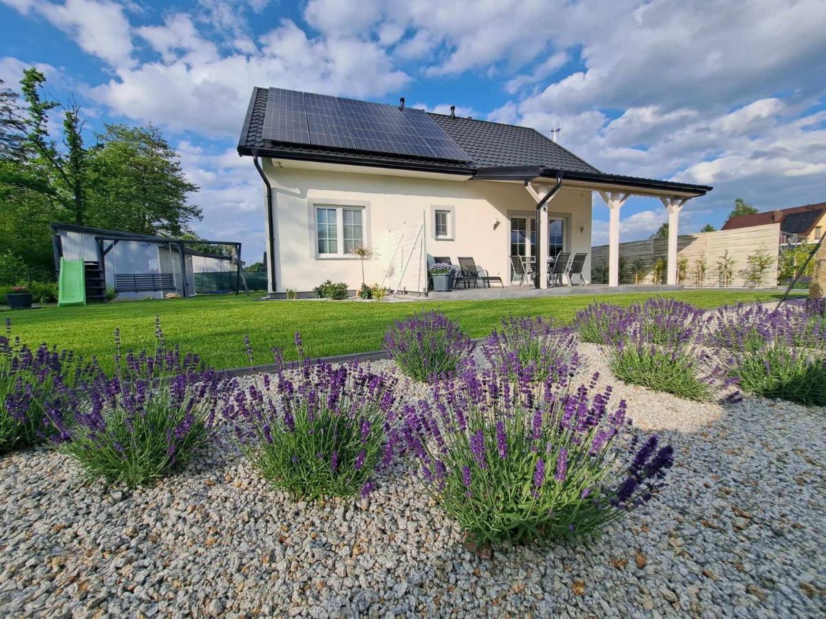 Lawendowy Zakatek Pod Sniezka Villa Miłków Exteriör bild